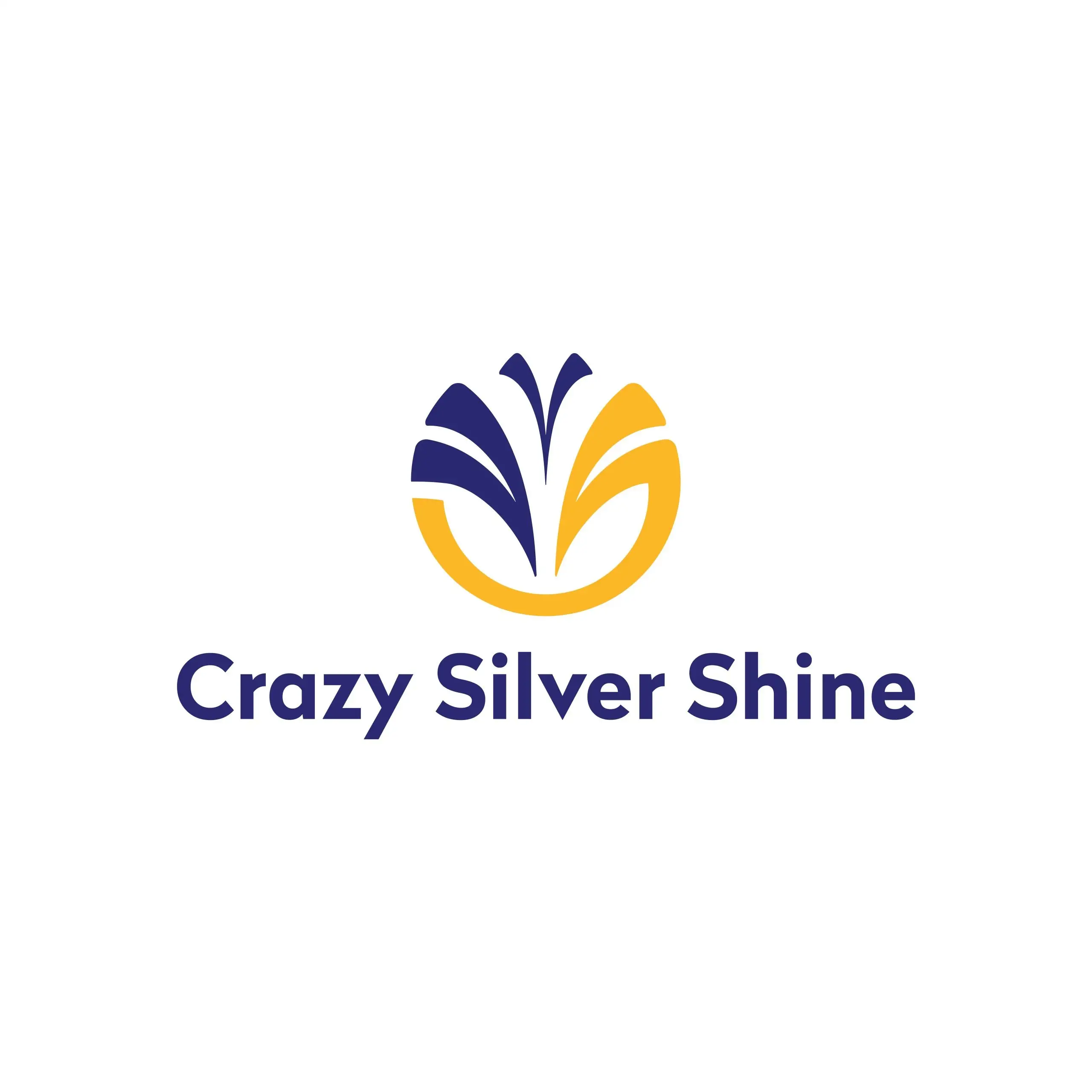 Crazy Silver Shine
