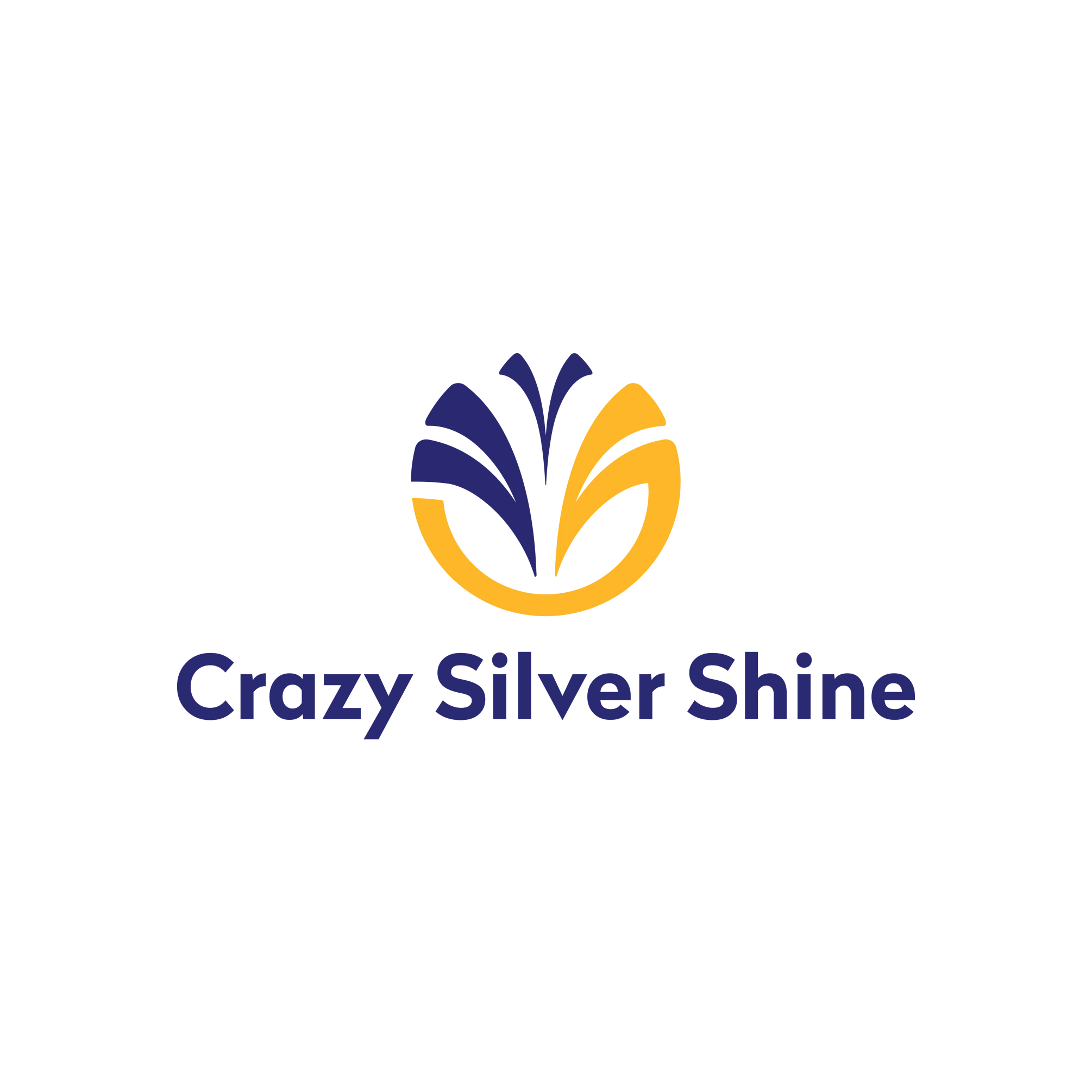 Crazy Silver Shine